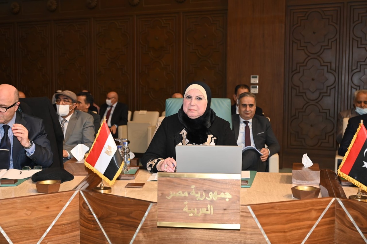 وزيرة الصناعة خلال اجتماع المجلس الاقتصادي والاجتماعي لجامعة الدول العربية