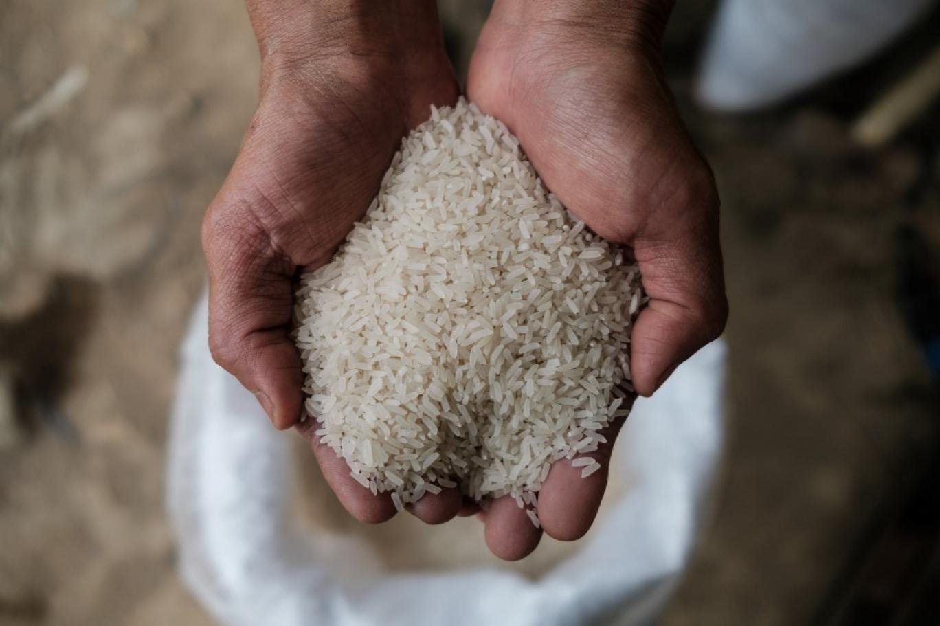 أزمة ارتفاع أسعار الأرز في الفلبين
