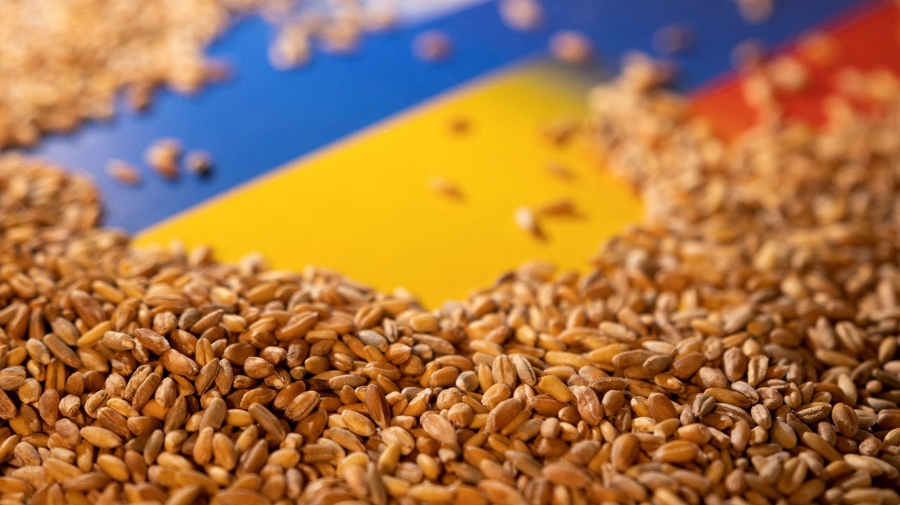 محاصيل أوكرانيا