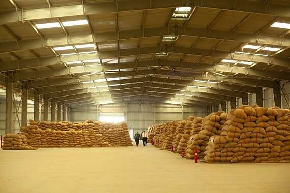 أوكرانيا.. تصدير 1.3 مليون طن من الحبوب عبر البحر الأسود منذ أغسطس