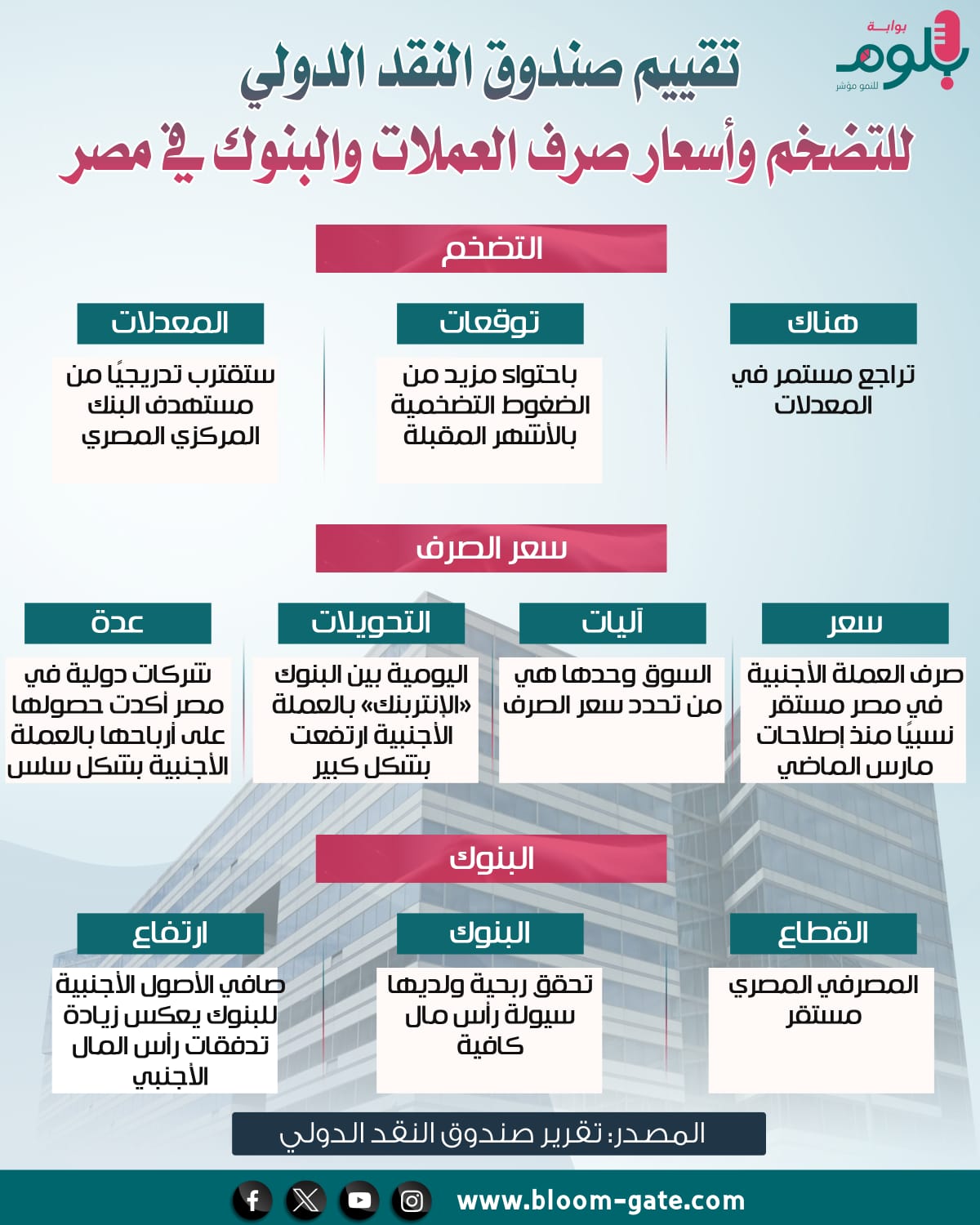 تقييم صندوق النقد الدولي للتضخم وأسعار صرف العملات والبنوك في مصر