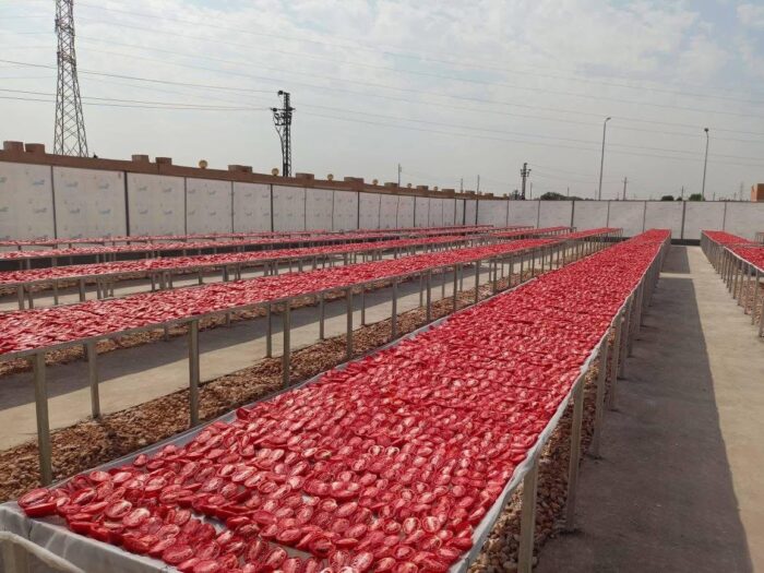 مجمع الصناعات الغذائية بالكيمان